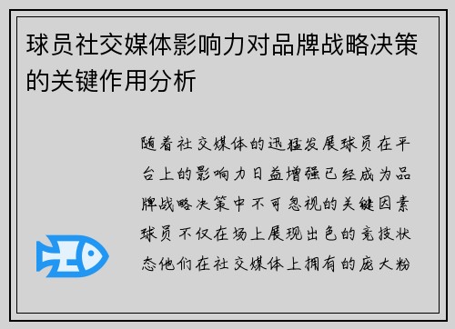 球员社交媒体影响力对品牌战略决策的关键作用分析 球员社交媒体影响力对品牌战略决策的关键作用分析